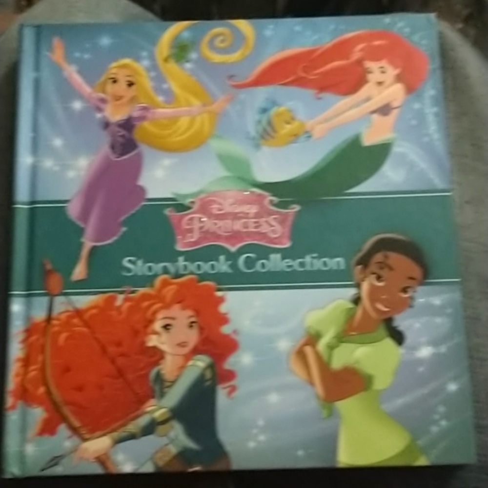 Disney's Hardcover Princess multi storybook collection